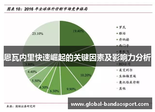 恩瓦内里快速崛起的关键因素及影响力分析
