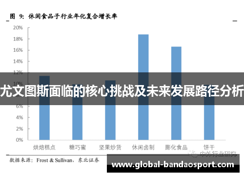 尤文图斯面临的核心挑战及未来发展路径分析