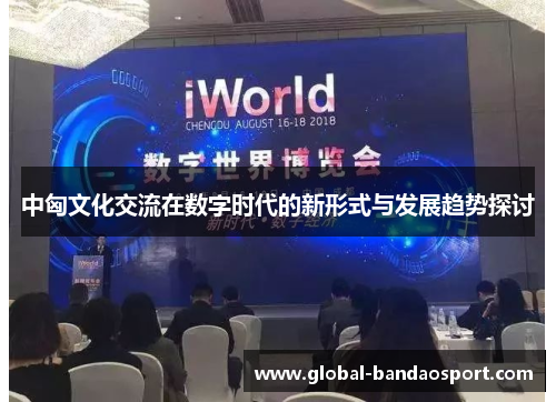 中匈文化交流在数字时代的新形式与发展趋势探讨