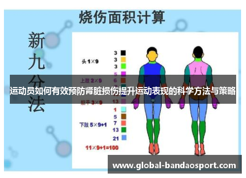 运动员如何有效预防肾脏损伤提升运动表现的科学方法与策略