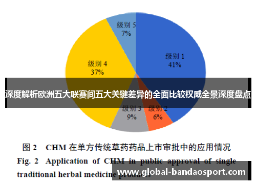 深度解析欧洲五大联赛间五大关键差异的全面比较权威全景深度盘点